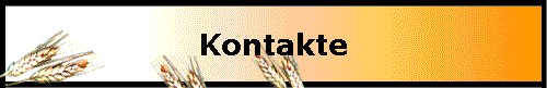  Kontakte 