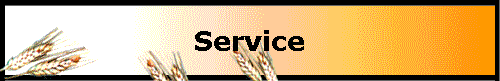  Service 