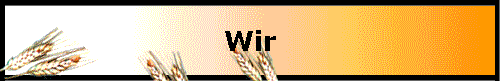  Wir 